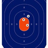 Birchwood Casey 35718 Dirty Bird Silhouette Tagboard Hanging Universal 12" x 18" Blue/Orange 8 Per Pkg