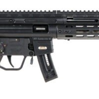 GSG GERGGSG1610ML GSG-16  Full Size 22 LR 10+1 16.25" Black Black Polymer Receiver Black Collapsible w/Storage Compartment Stock Right Hand