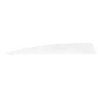 Gateway Shield Cut Feathers White 5 in. LW 50 pk.