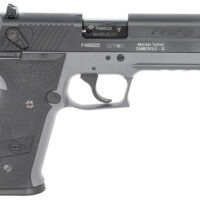GSG GERG2210FFS FireFly 22 LR 10+1 4" Black Serrated Slide, Smoke Zinc Alloy w/Accessory Rail Frame, Black Polymer Grip