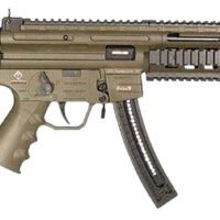 GSG GSGGERGGSG1610G GSG-16 Carbine Full Size 22 LR 10+1 16.25" Black 6-Groove Rifling Barrel Green Polymer Receiver Black Collapsible w/Storage Compartment Stock Right Hand