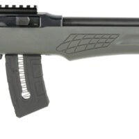 Rossi RS22W2111G RS22  22 WMR 10+1 21" Matte Black Barrel, Matte Black Alloy Steel Frame, Gray Fixed Monte Carlo Stock Right Hand