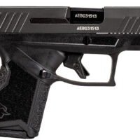 Taurus 1GX4M93GR10 GX4 Micro-Compact 9mm Luger 10+1 3.06" Black Steel Barrel/Gray Serrated Slide/ Gray Stainless Steel Frame/ Black Polymer w/Interchangeable Backstrap Grips Right Hand