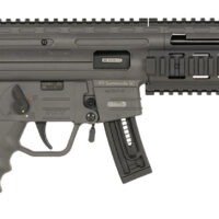 ATI GERGGSG1610S GSG-16  22LR 10+1 16.25" Black Non-Threaded Barrel, Smoke Gray Picatinny Rail Polymer Receiver, M-LOK Handguards, Collapsible w/Storage Compartment Black Synthetic Stock, Smoke Gray P
