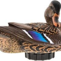Avian X AVX-PSH-MHPR Power Shaker Motion Decoy Mallard Hen Multi-Color