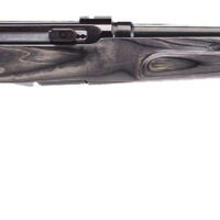 Savage Arms 47215 A Series Target Full Size 22LR 10+1 22" High Luster Heavy Target Barrel, High Luster Drilled & Tapped Carbon Steel Receiver, Gray Thumbhole Laminate Stock, Right Hand