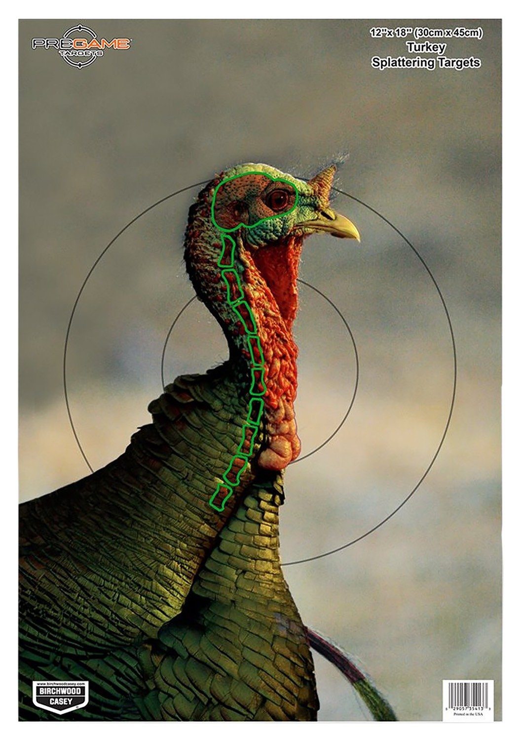 Birchwood Casey 35403 Pregame Turkey Paper Hanging Universal 12" x 18" Multi-Color 8 Per Pkg